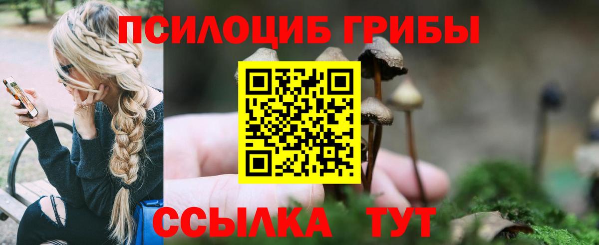 Псилоцибиновые грибы Cubensis  Галлюциногенные грибы Magic Shrooms  Тулун  Вход с VPN 